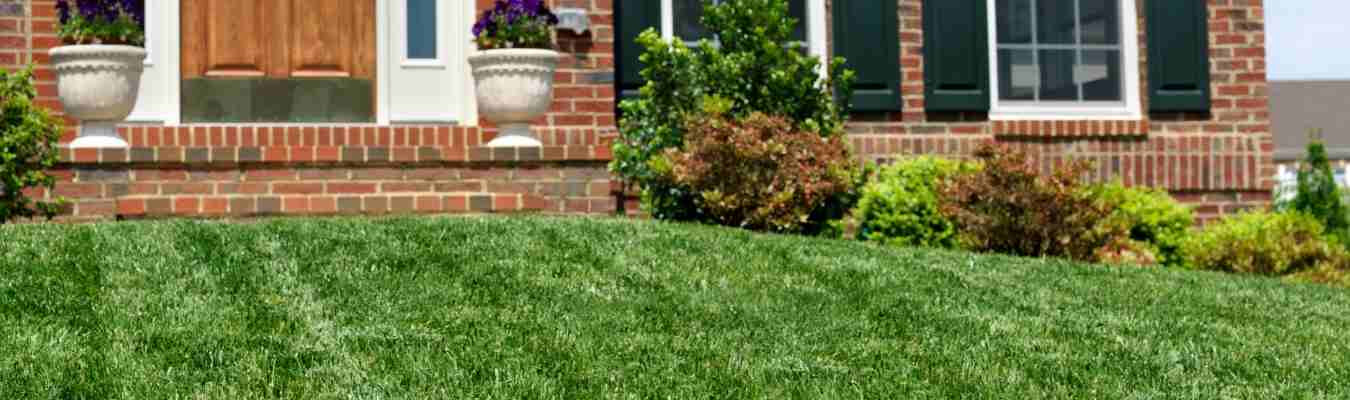 ON THE BLOG | 5 Secrets To The Perfect Lawn
